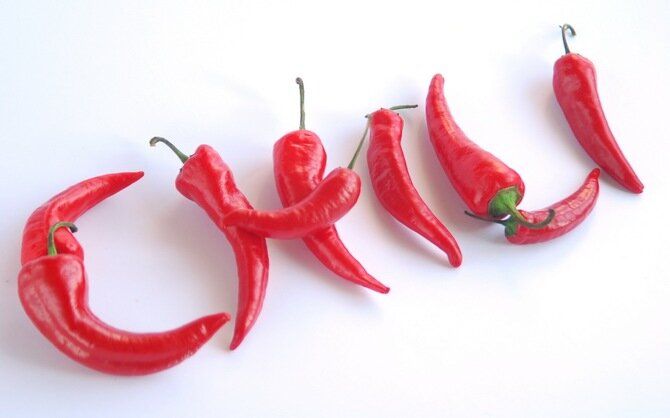 chili