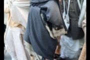CT11-202