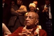 CT11-204
