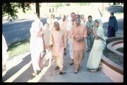 CT20-204