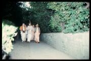 CT26-029