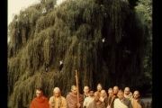 CT81-120
