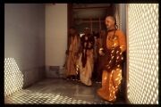 CT89-088