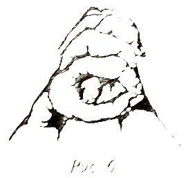 1238519396_06